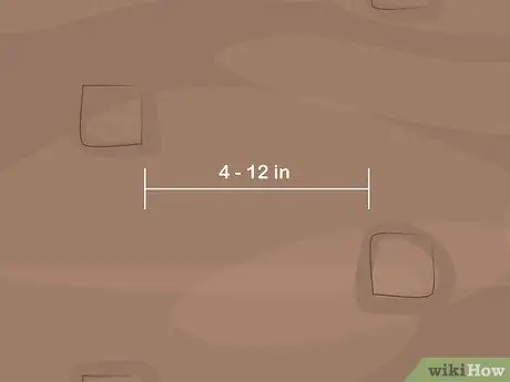 Сажайте вилки Zoysia Шаг 5