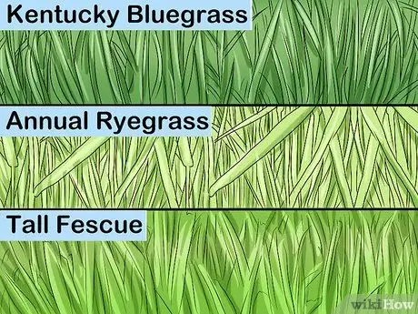 Выберите дерн для своего двора Шаг 3