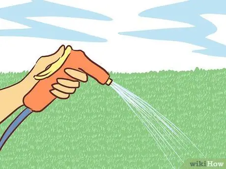 Экономьте воду с помощью спящего газона Шаг 2