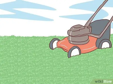 Экономьте воду с помощью спящего газона Шаг 3