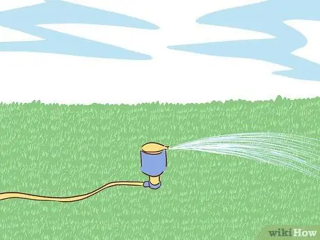 Экономьте воду с помощью спящего газона Шаг 5