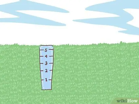 Экономьте воду с помощью спящего газона Шаг 6