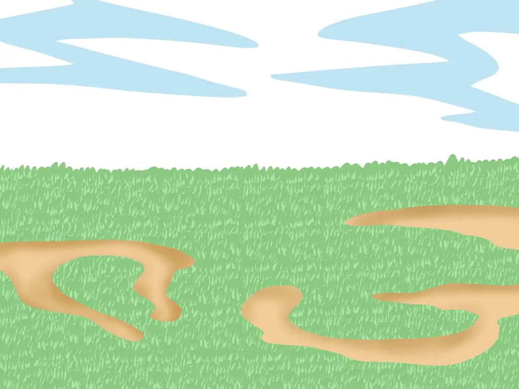 Как сэкономить воду с помощью спального газона: 11 шагов (с иллюстрациями)