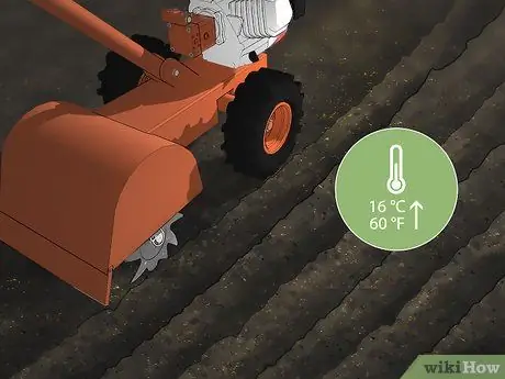 Выращивать дерн, шаг 3