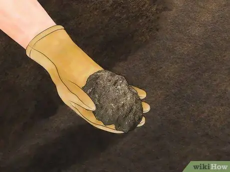 Уход за шелковицей Шаг 2