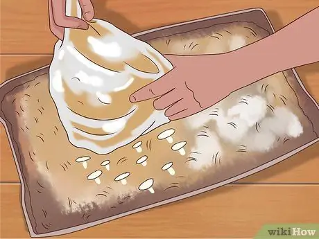 Выращивание грибов эноки Шаг 10
