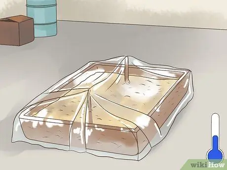 Выращивание грибов эноки Шаг 12