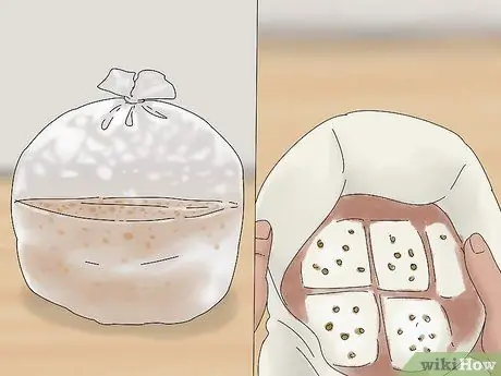 Выращивание королевских вешенек Шаг 11
