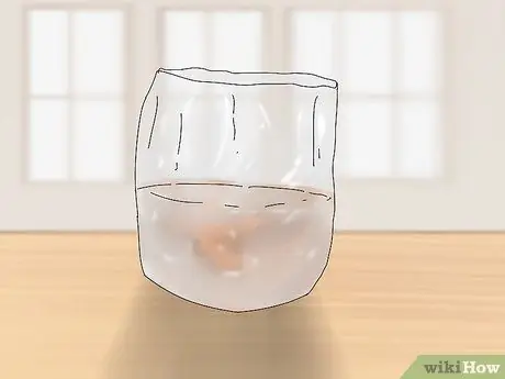 Выращивание королевских вешенек Шаг 12