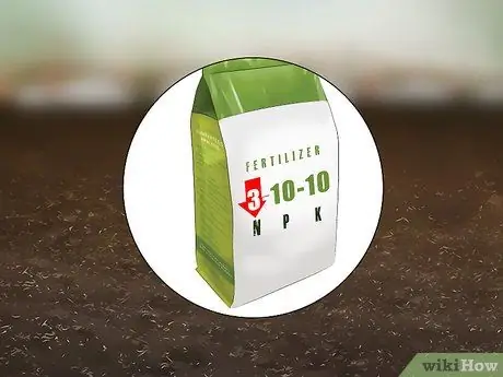 Выращивайте черную фасоль, шаг 3
