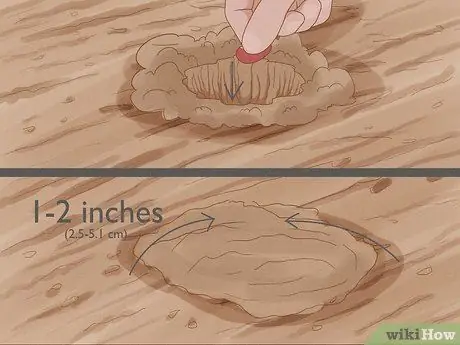 Выращивание фасоли Шаг 10