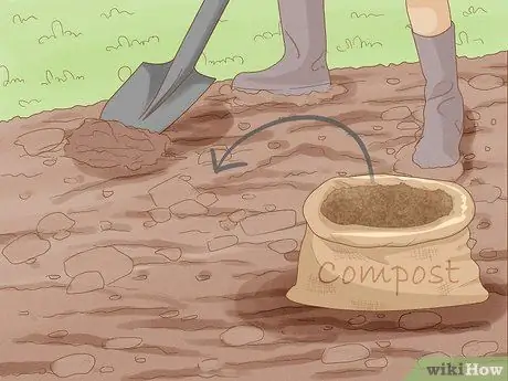 Выращивание фасоли Шаг 7