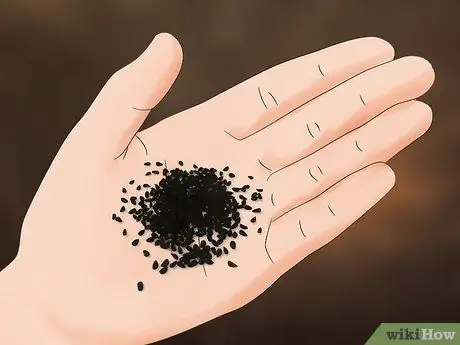 Посадить лук Шаг 1