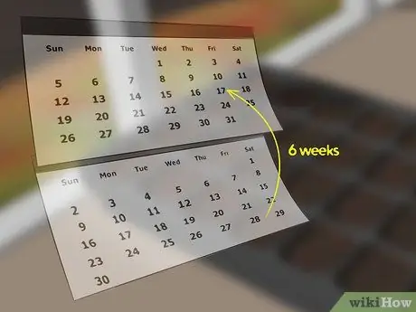 Посадить лук Шаг 2