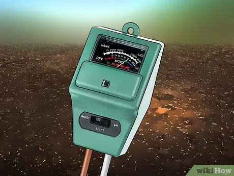Посадить лук Шаг 8