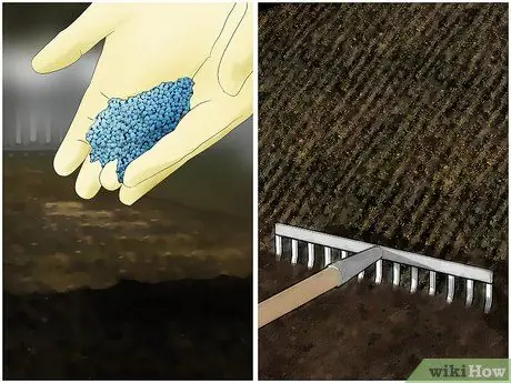 Посадить лук Шаг 9