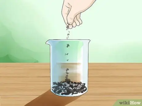 Выращивайте лук из семян, шаг 3
