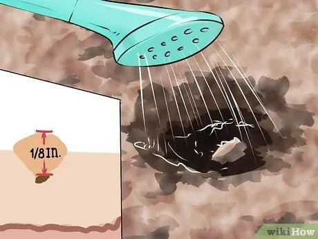 Выращивание лука из семян Шаг 4