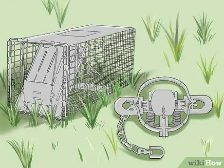 Поймать сурка Шаг 1