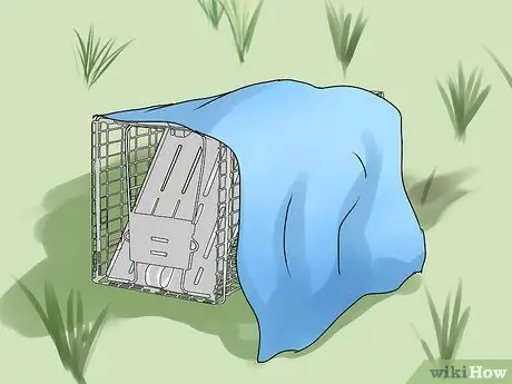 Поймать сурка Шаг 10