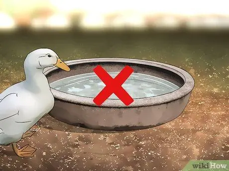 Не подпускайте уток к бассейну, шаг 2
