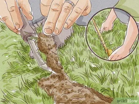 Roll Sod Step 11