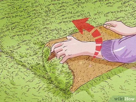 Roll Sod Step 4