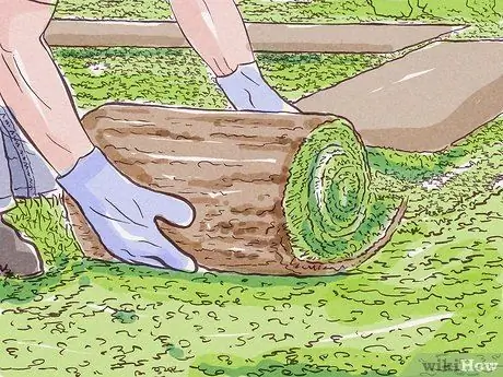 Roll Sod Step 8