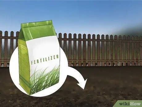 Выращивание травы из семян Шаг 10