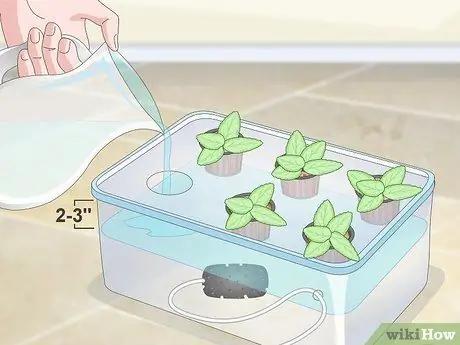 Создайте гидропонный сад в своей квартире Шаг 15