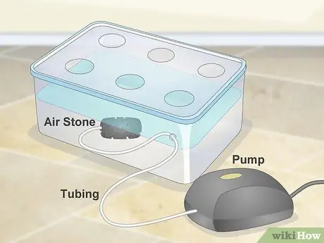 Создайте гидропонный сад в своей квартире Шаг 6