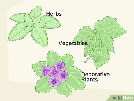 Создайте гидропонный сад в своей квартире Шаг 8