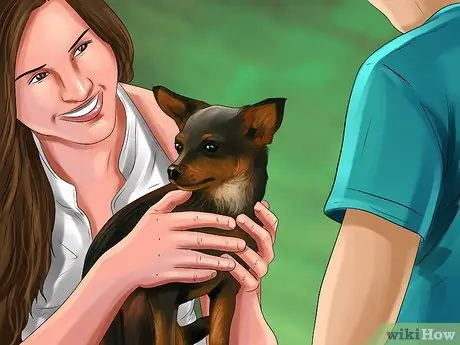 Выберите квартирную собаку Шаг 4