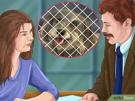 Выберите квартирную собаку Шаг 5