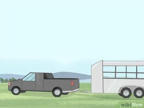Составьте план готовности к стихийным бедствиям для вашей лошади Шаг 9