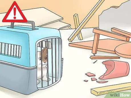 Обеспечьте безопасность домашних животных во время торнадо Шаг 10