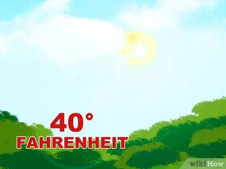 Пятновыводитель, шаг 4