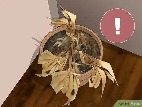 Обнаружение утечки газа Шаг 8