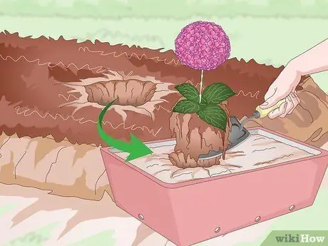 Подготовьте свой сад к осени Шаг 13