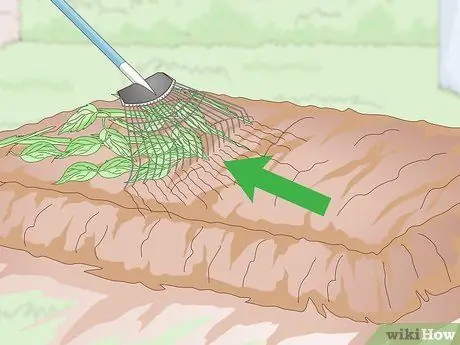 Подготовьте свой сад к осени Шаг 2