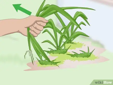 Подготовьте свой сад к осени Шаг 3