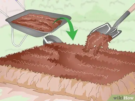 Подготовьте свой сад к осени Шаг 9