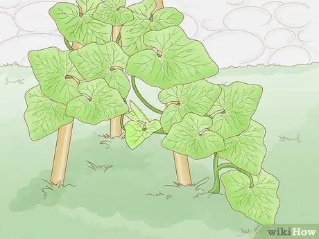 Уход за садом (для арендаторов) Шаг 10