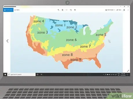 Вырастить большие помидоры, шаг 1