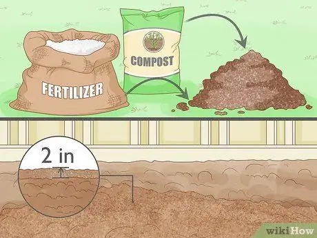 Вырастить большие помидоры Шаг 11