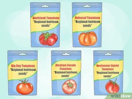 Вырастить большие помидоры, шаг 2