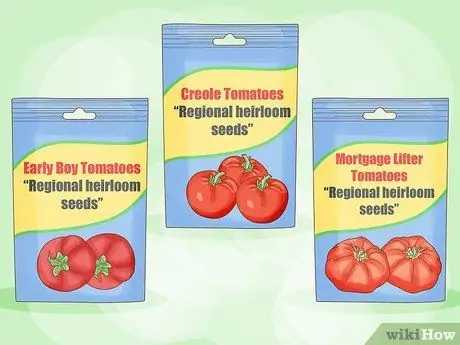 Вырастить большие помидоры, шаг 3