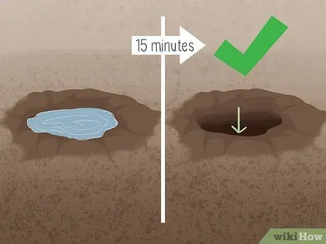 Заставь гортензии цвести, шаг 3