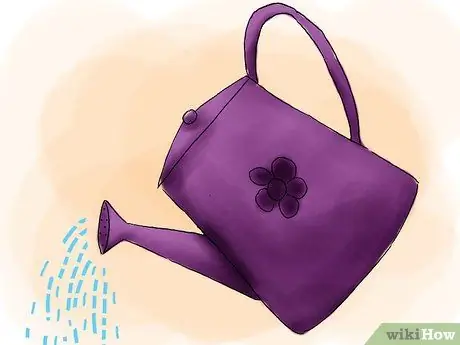 Сажать гортензии Шаг 09