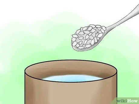 Сажать гортензии Шаг 13